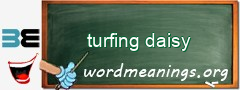 WordMeaning blackboard for turfing daisy